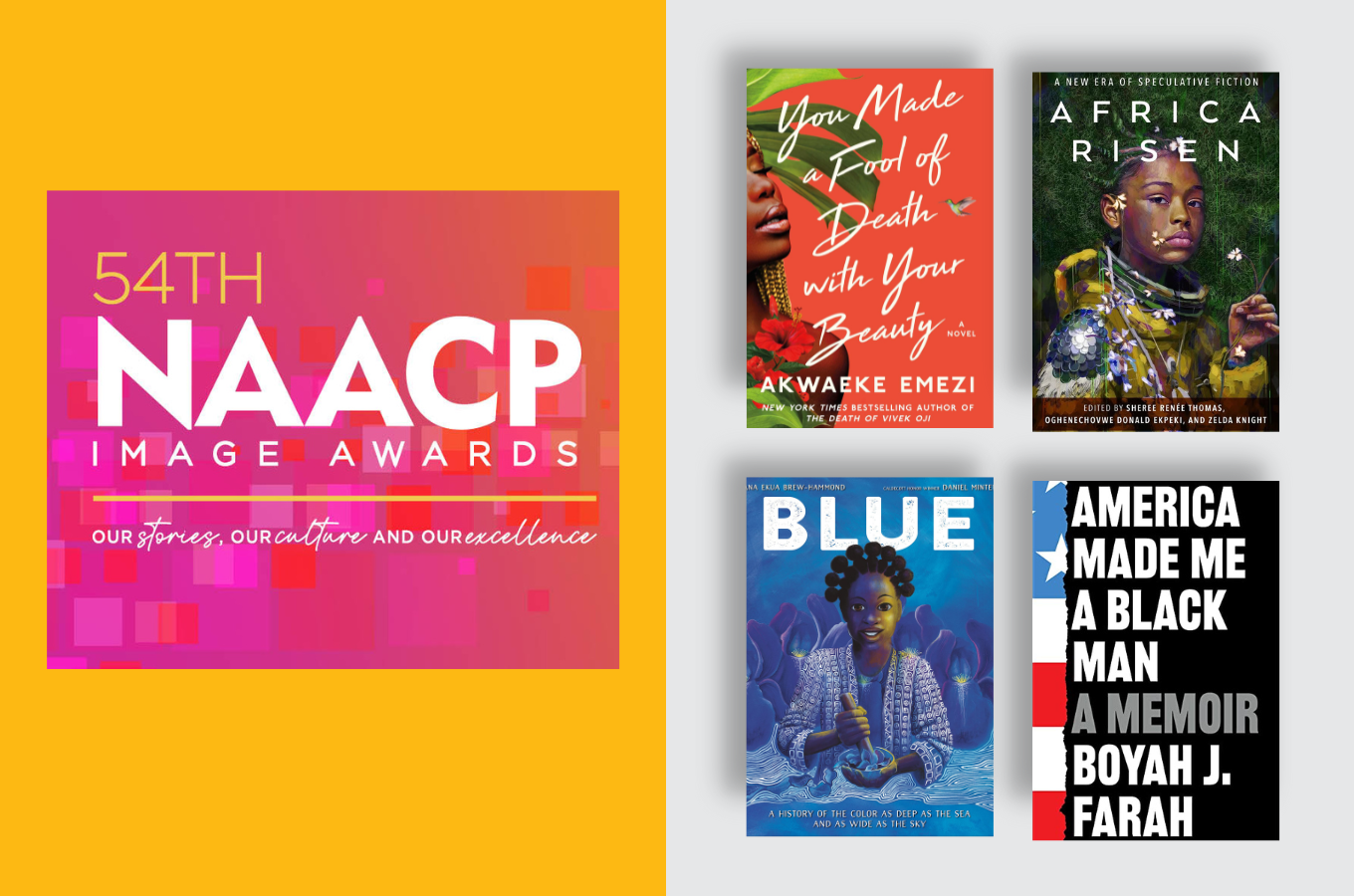 Congrats to the African Nominees of the NAACP Image Awards!